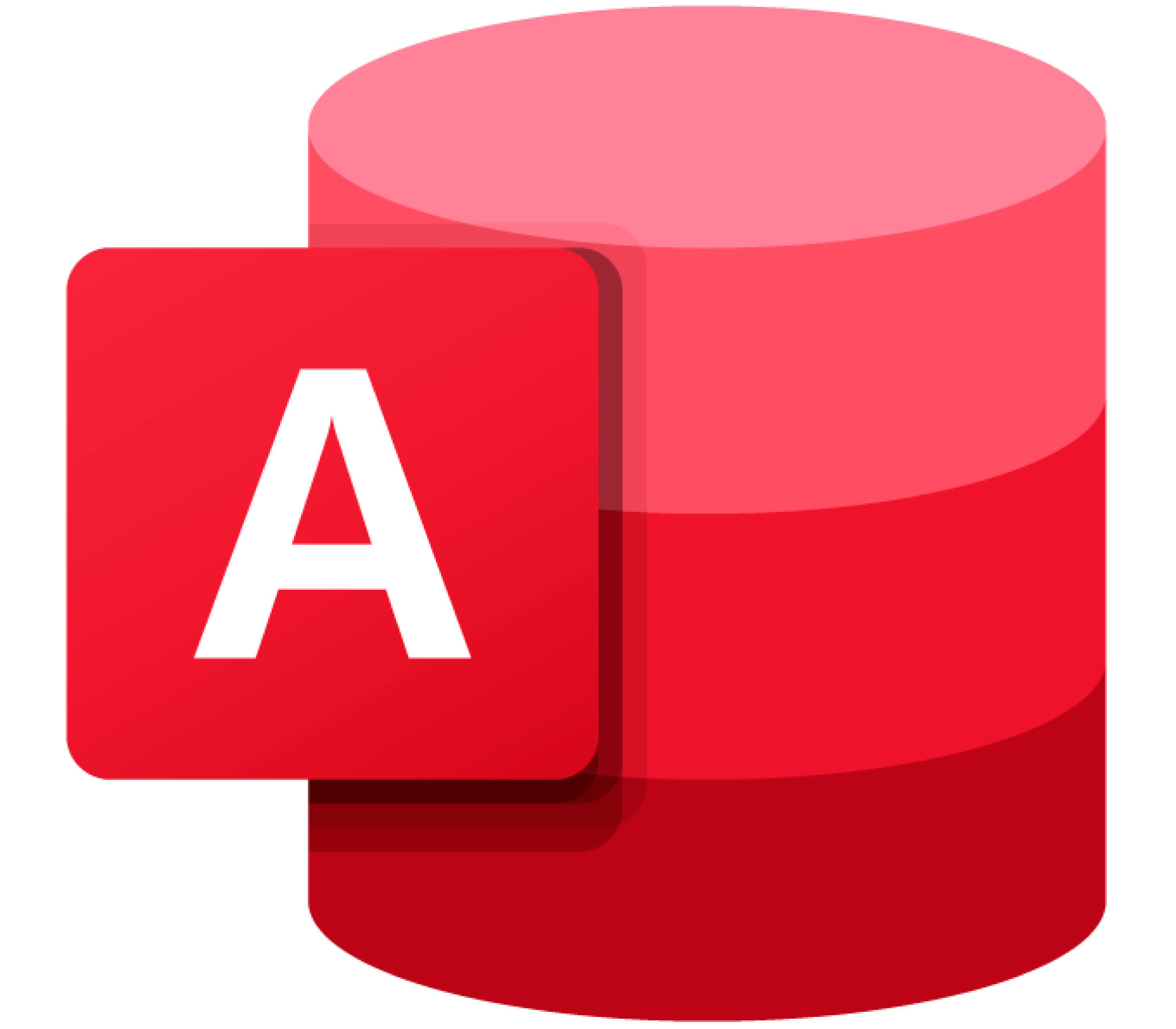 Microsoft Access icon