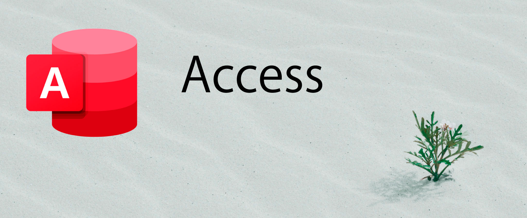Microsoft Access