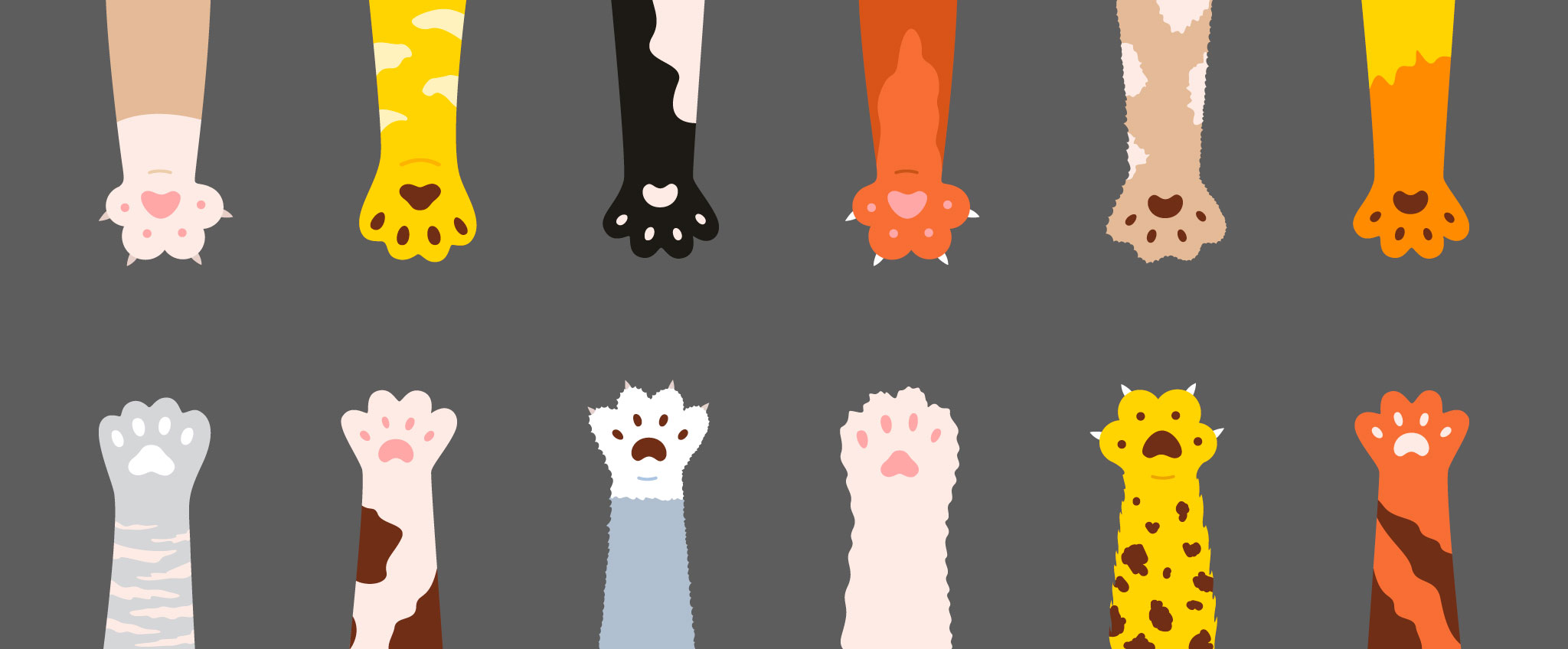 Illustratorを学ぶ