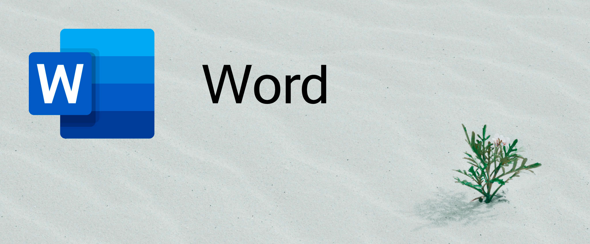 Microsoft Word